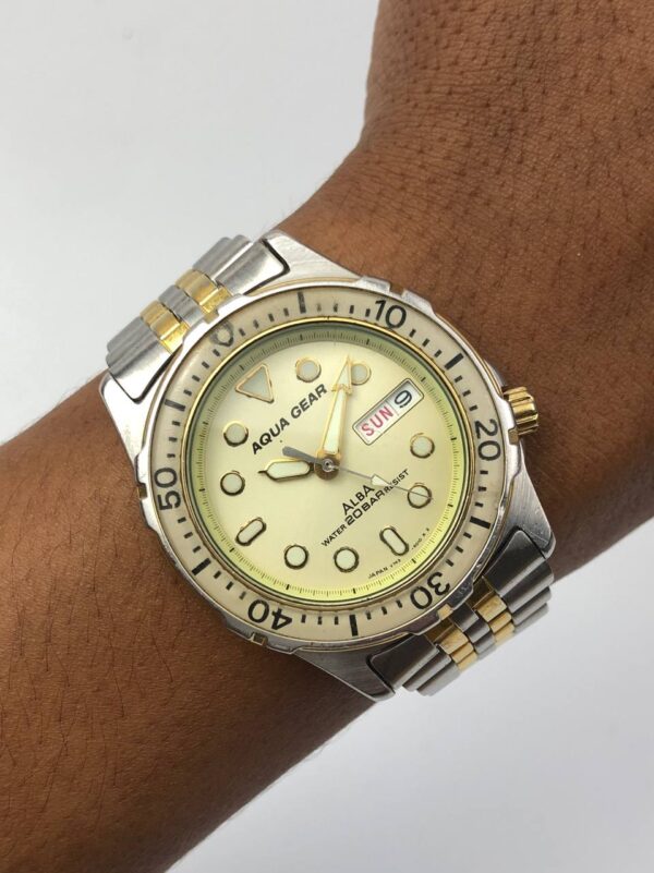 Alba Diver