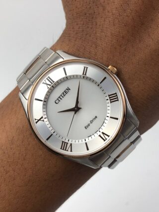 EKSLUSIF CITIZEN ECODRIVE STYLISH