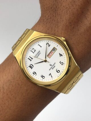 CITIZEN DAYDATE ALL ORI