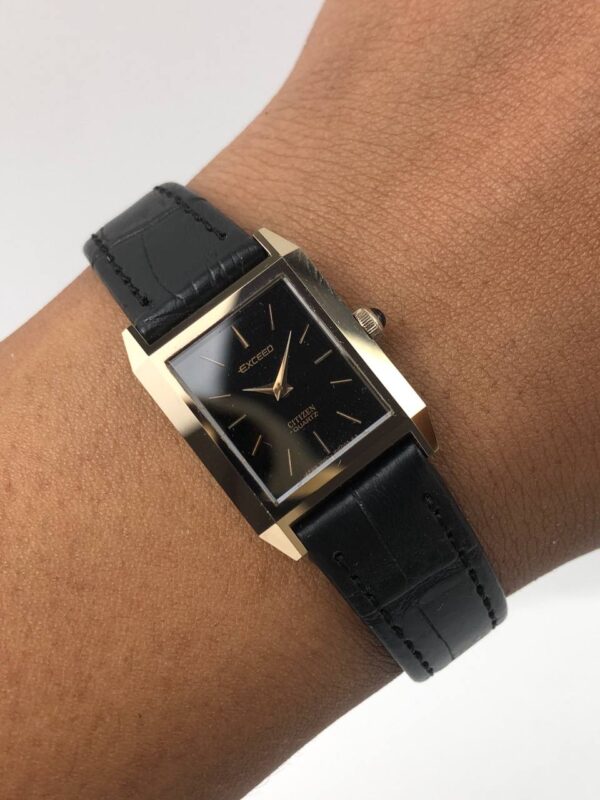 CITIZEN EXCEED UHAG CASE SAPPHIRE