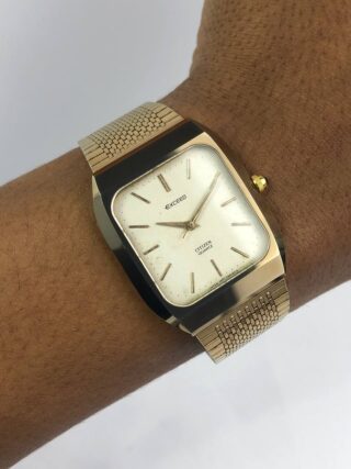 CITIZEN EXCEED UHAG CASE