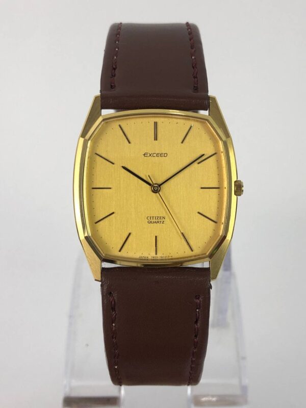 CITIZEN EXCEED PRIA MULTIGONAL CASE