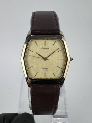 CITIZEN EXCEED UHAG CASE