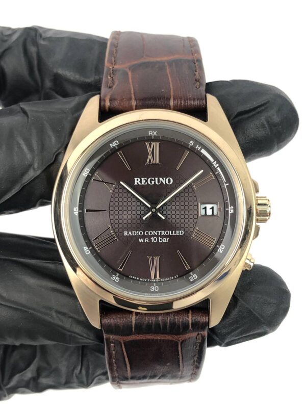 REGUNO TUXEDO BROWN DIAL GOLD TONE CASE - Gambar 2