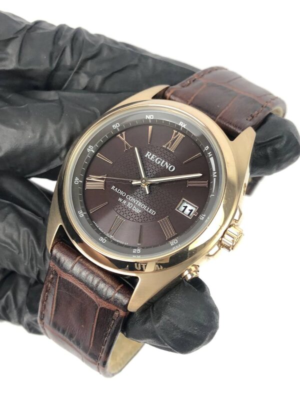 REGUNO TUXEDO BROWN DIAL GOLD TONE CASE - Gambar 3