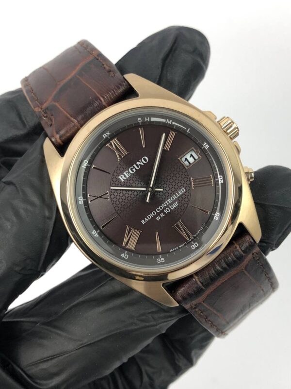 REGUNO TUXEDO BROWN DIAL GOLD TONE CASE - Gambar 4