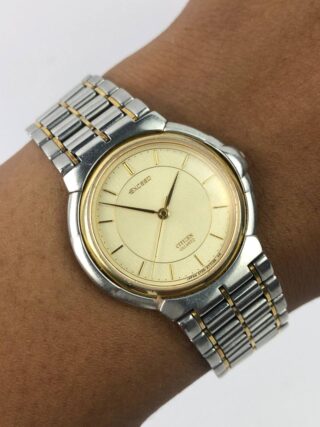 CITIZEN EXCEED TUXEDO DIAL ALL ORI