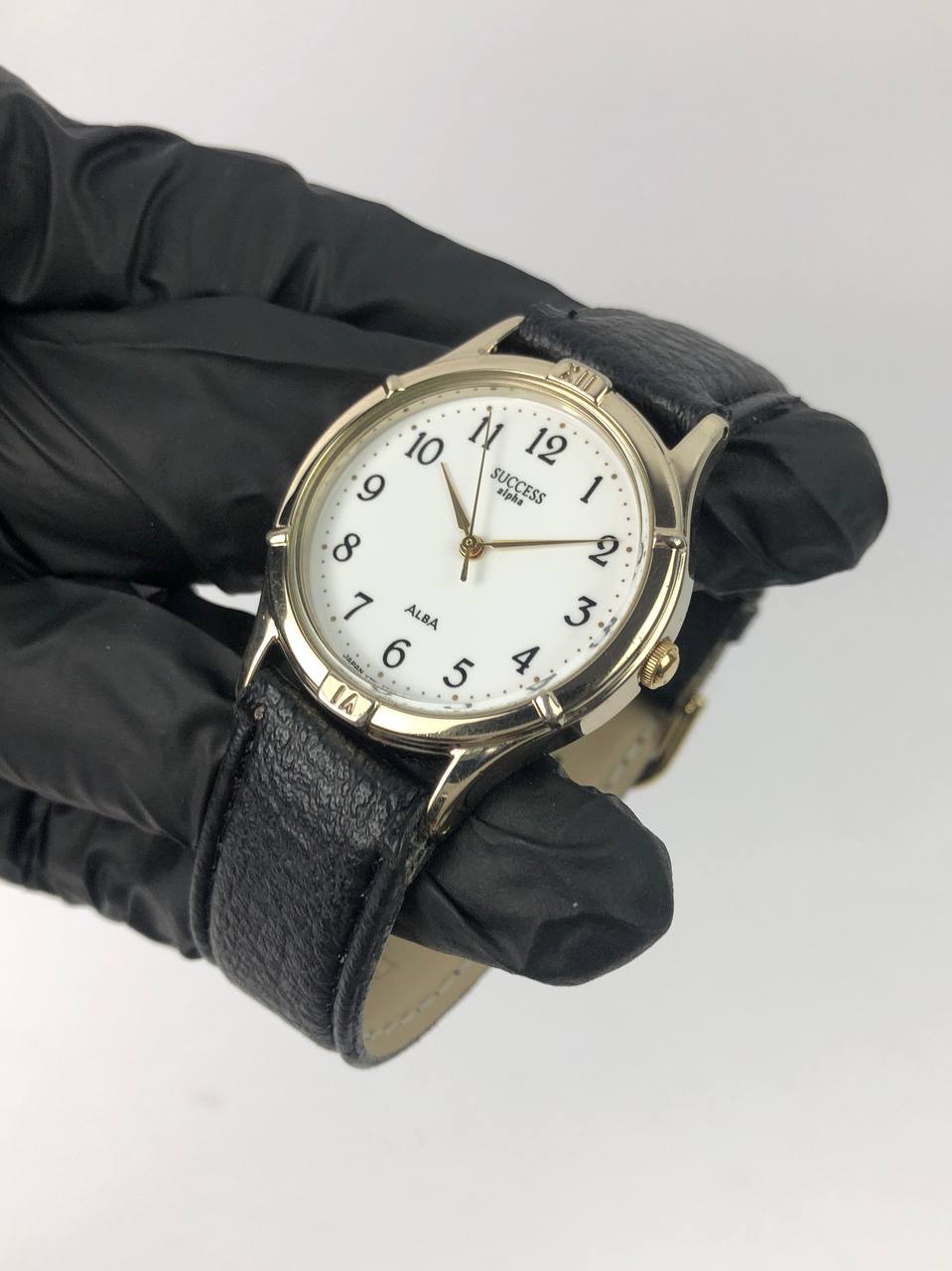 ALPHA SUCCES - Gambar 3