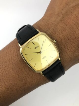 EKSLUSIF CITIZEN DUKE SEMI OCTAGON SAPPHIRE GLASS