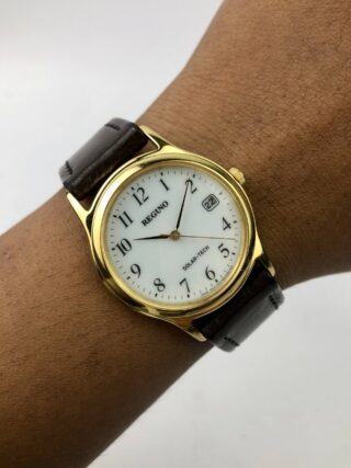 CITIZEN REGUNO SOLAR (PRIA)