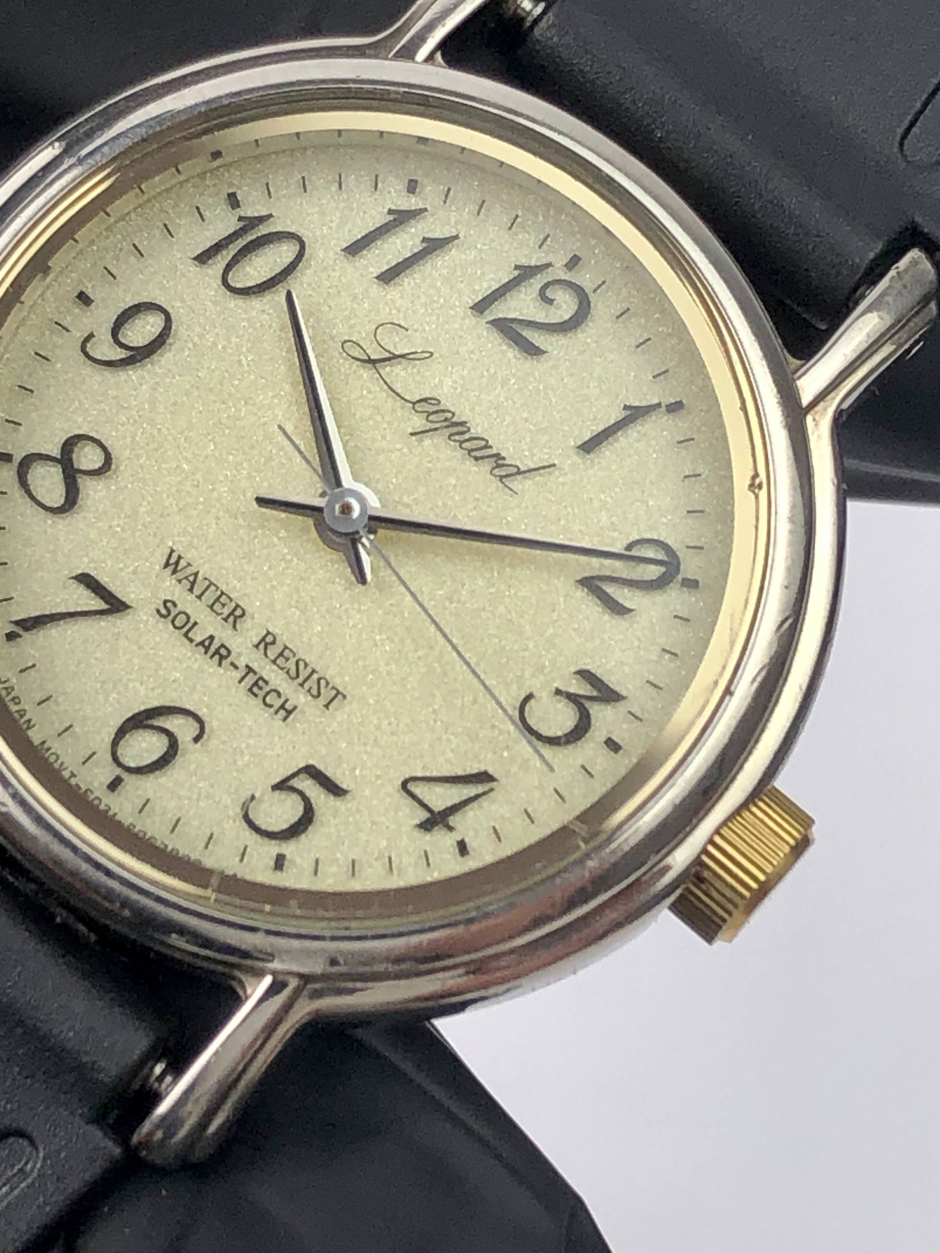 CITIZEN LEOPARD LADIES ECODRIVE SANDS DIAL - Gambar 7