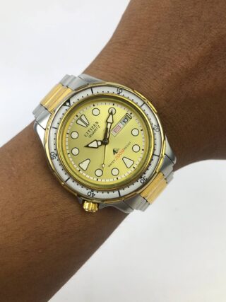 CITIZEN DIVER PROMASTER 200M DAYDATE