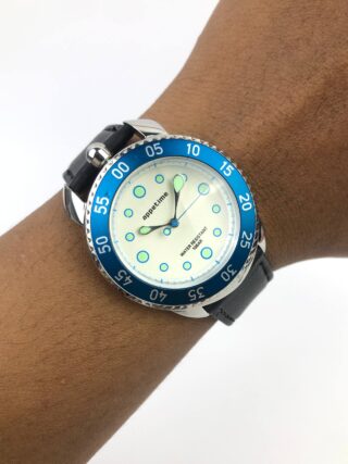 SEIKO INSTRUMEN INC / SII APPETIME CROWN AT 12 ORIGINAL