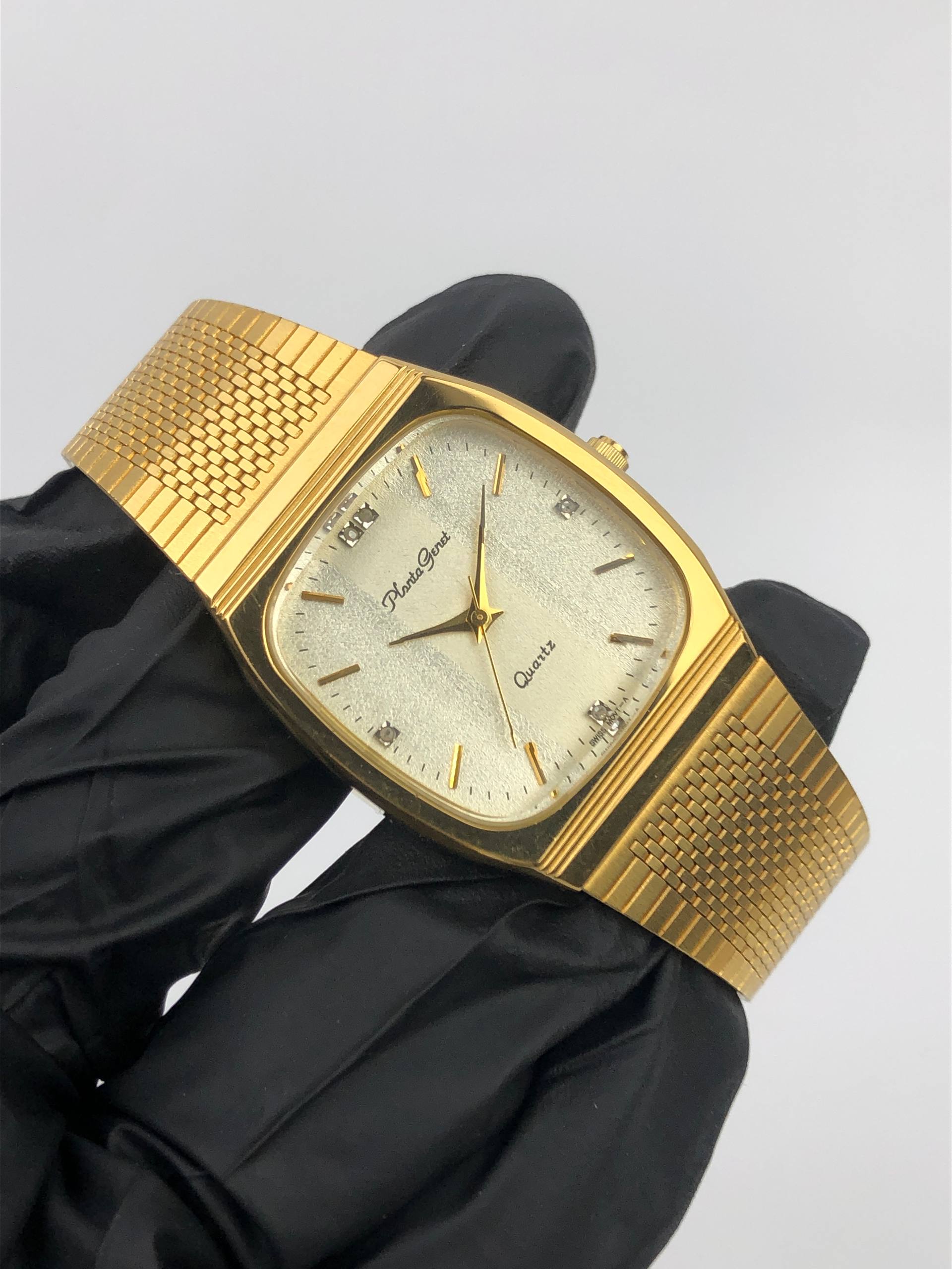 DRESSWATCH SWISSMADE PLANTA GENETH UNISEX QUARTZ - Gambar 3